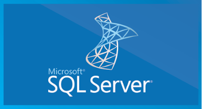 Picture of SQLSvrStd 2019 SNGL OLP NL (228-11477)